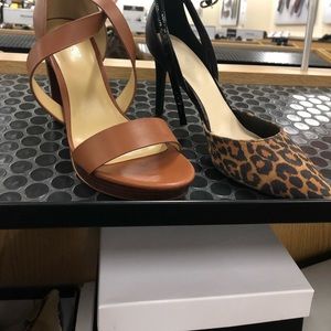 Meet your Posher, Janet